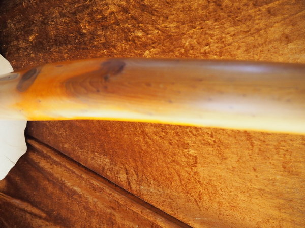 Haber-Didgeridoo aus Eibe